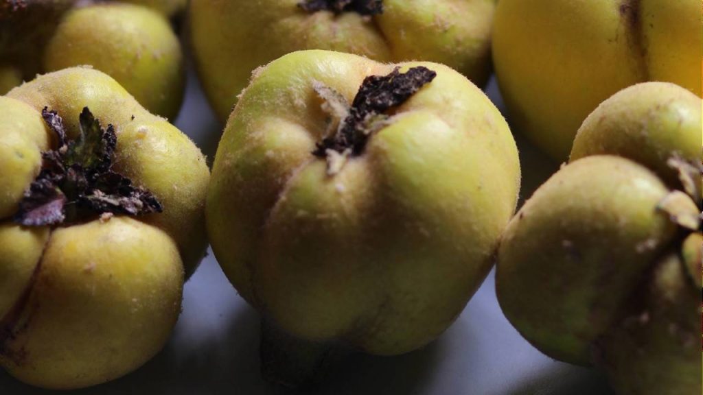 4 delicious ideas to take advantage of quinces