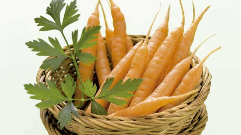 7 foods with vitamin A to take care of the eyes and skin