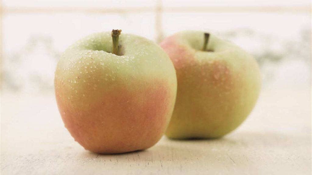 7 types of apples and how to cook them to take advantage of their benefits